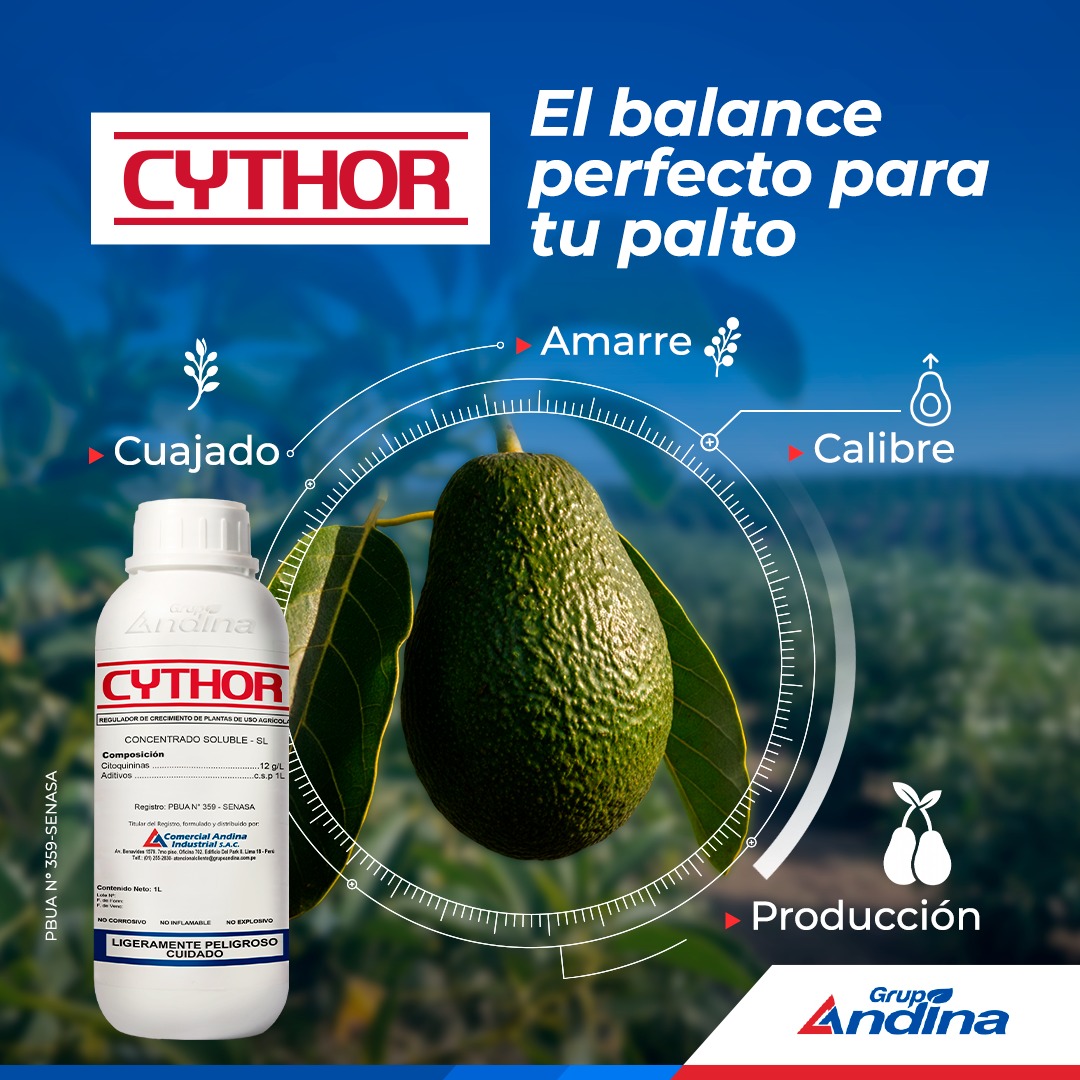 Grupo Andina - ¡Grupo Andina te recluta 🔍! Conoce las... | Facebook
