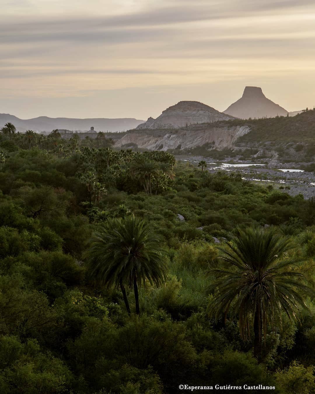 Comondú South Baja