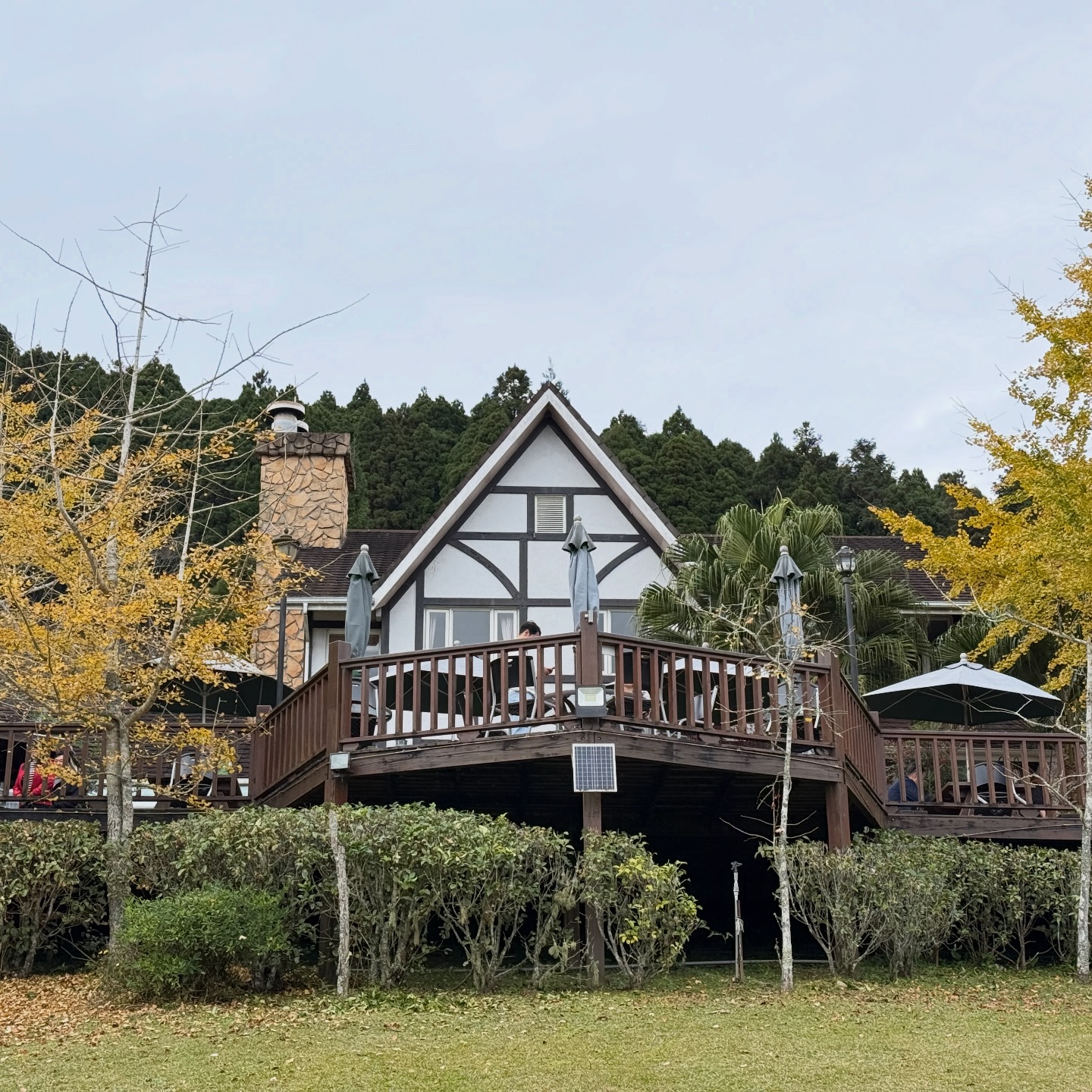 旅充小日子 - 一年一度的士林官邸鬱金香展又要開跑了，今年從2021年2月25日-2021年3月7日，為期11天，剛好碰到228連假，想必又是 ...