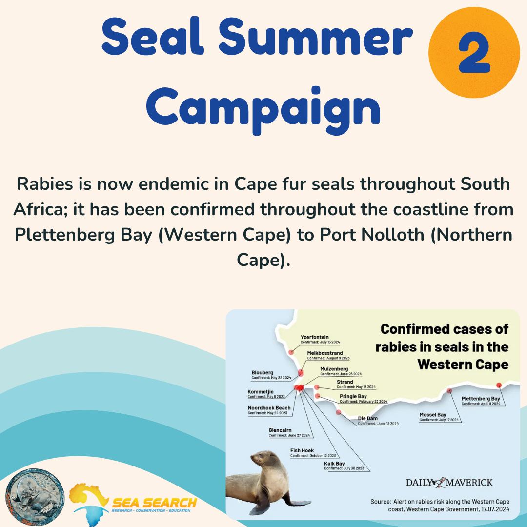 Sea Search - ⚠️High-Risk Rabies Areas in South Africa... | Facebook