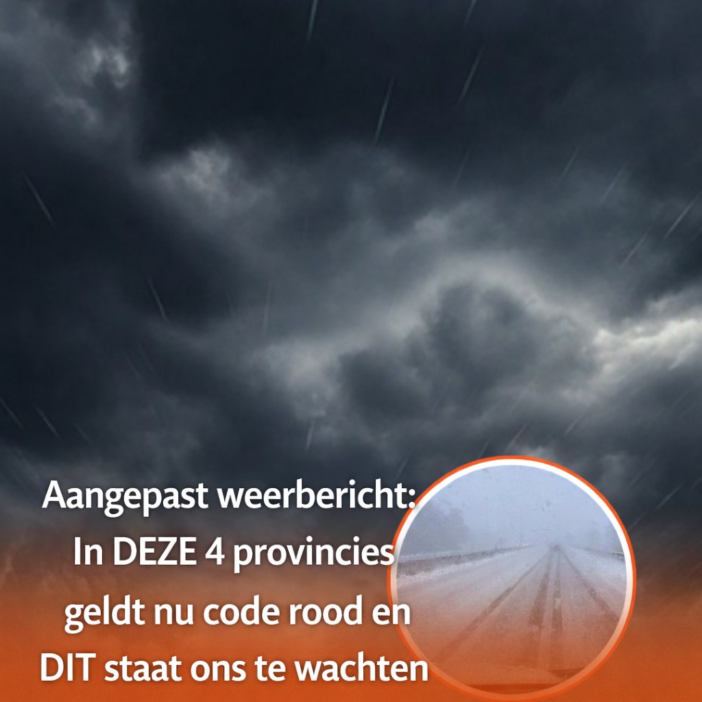 ViralNed - Aangepast weerbericht: In DEZE 4 provincies geldt nu code ...