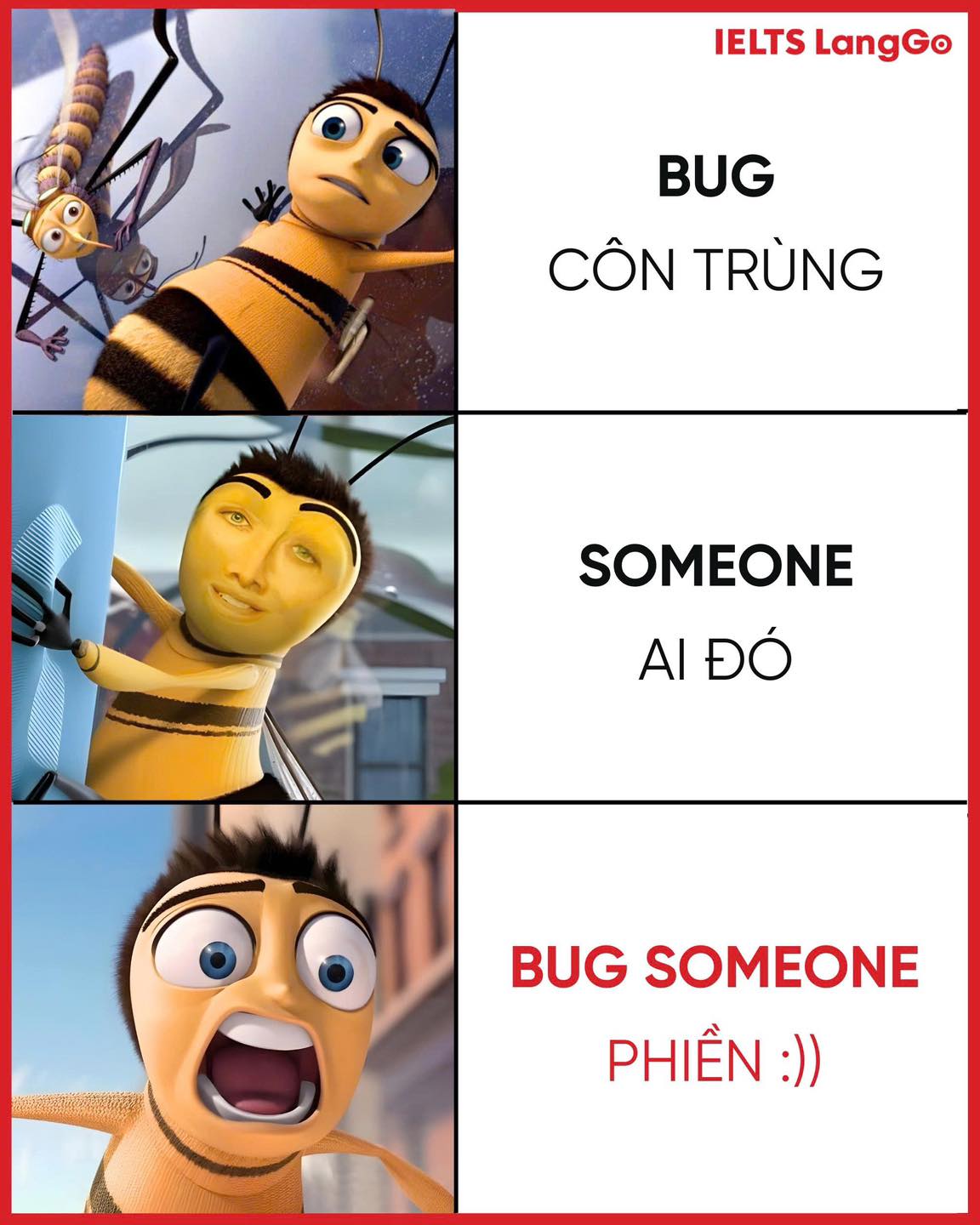 Luyện - BUG SOMEONE - Làm phiền ai đó 🤓🤓🤓 #luyenthiielts #IELTSLangGo ...