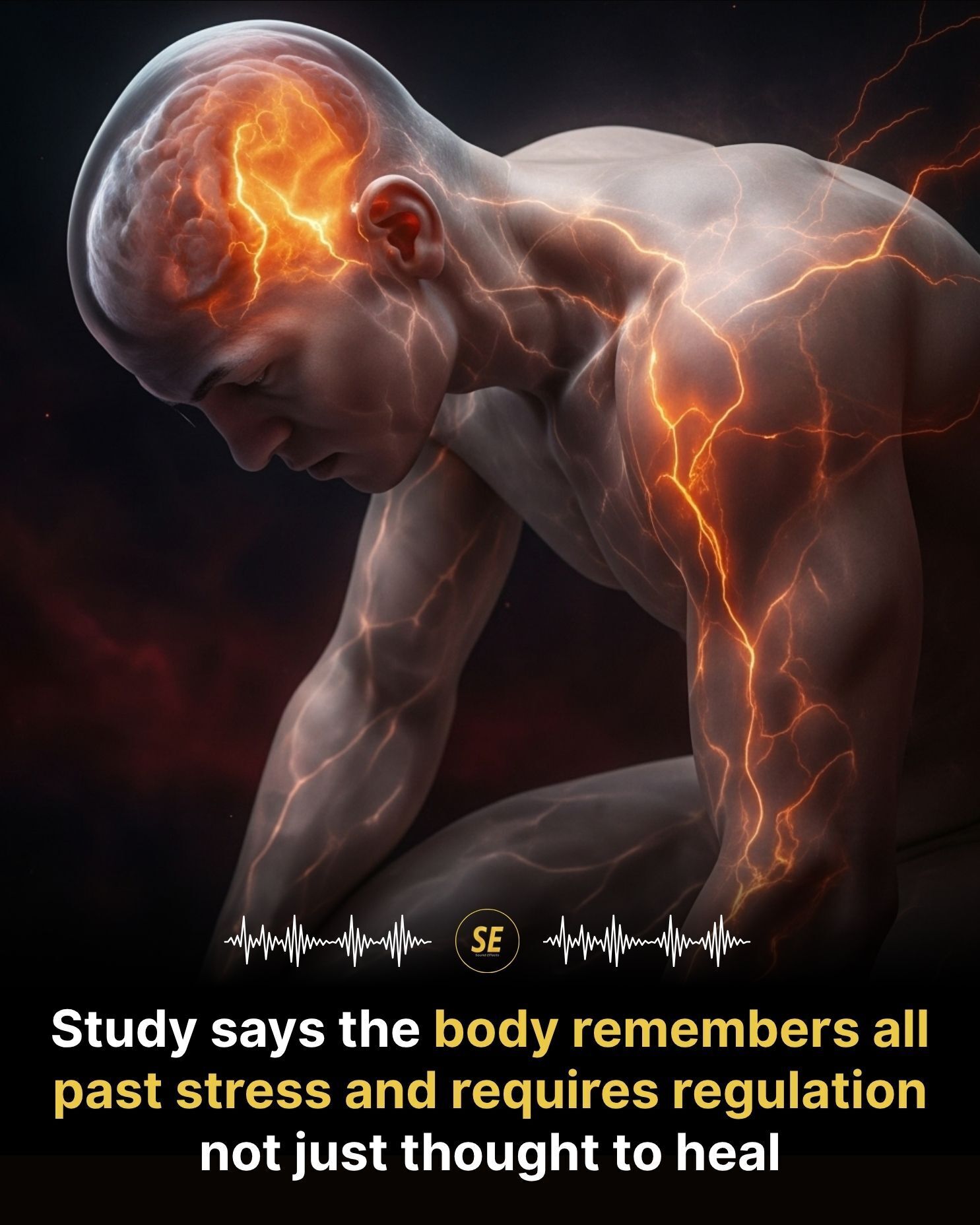 Sounds - Science now confirms what many have long felt: the body keeps ...