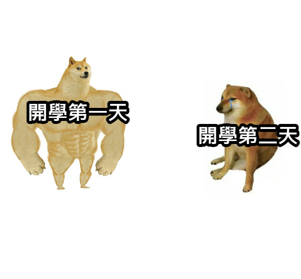 Meme - 開學 #學生 #梗圖倉庫 #網友投稿 #系統自動發佈 👉看更多網友創作 https://memes.tw/wtf 👉使用梗圖產生 ...