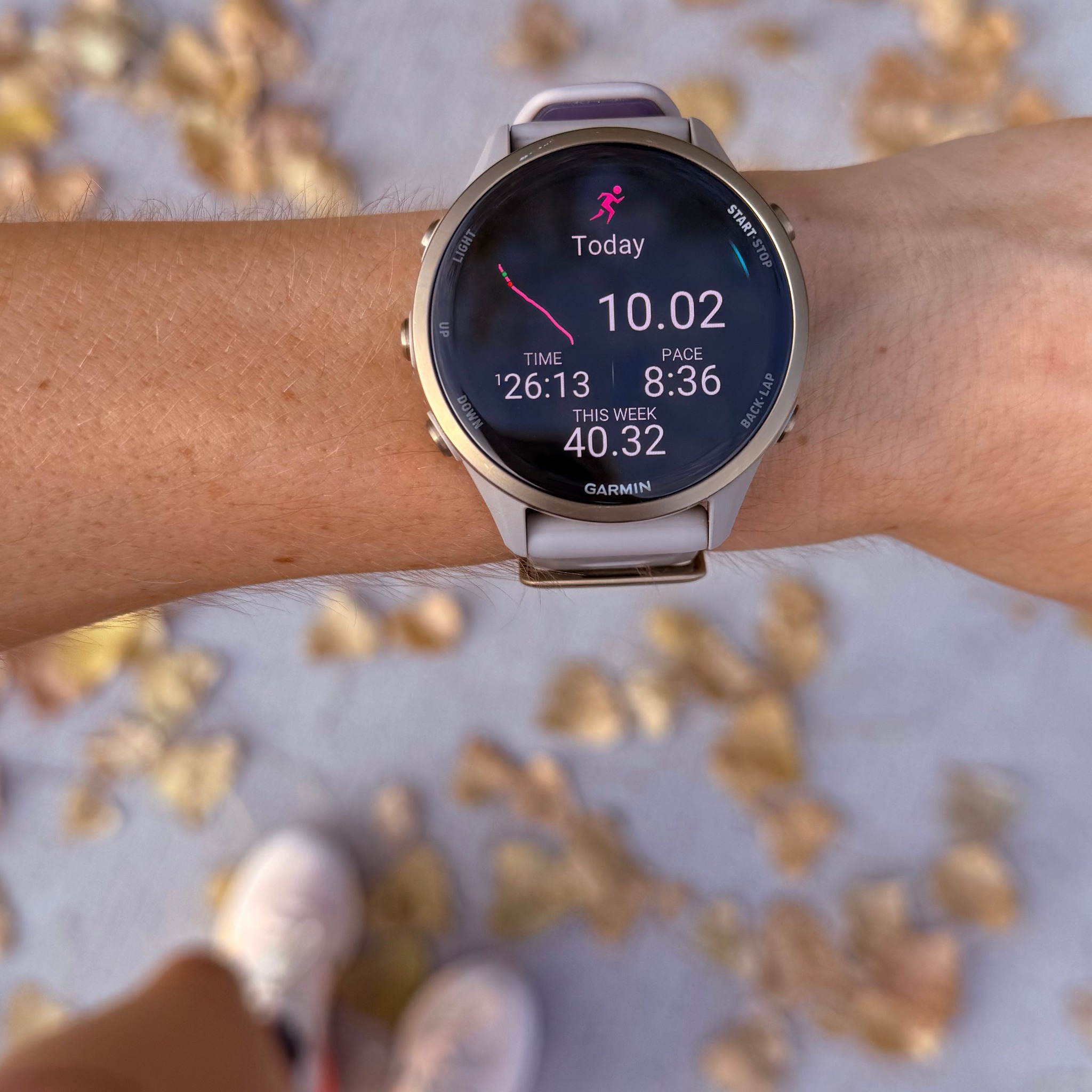 Garmin - Fall temps and a medium long run. Name a better combo 🍂 | Facebook