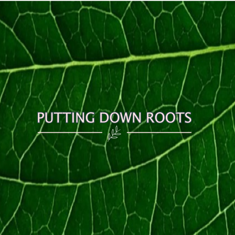 Putting Down Roots