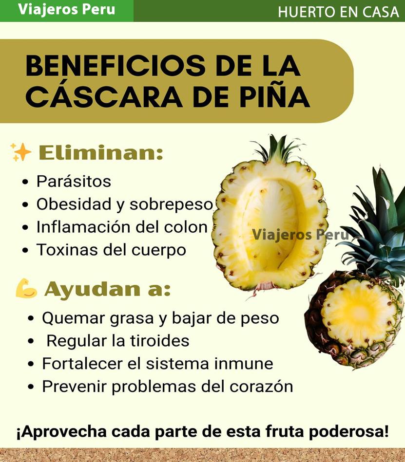 Viajeros - La cáscara de piña es un tesoro natural que ayuda a ...