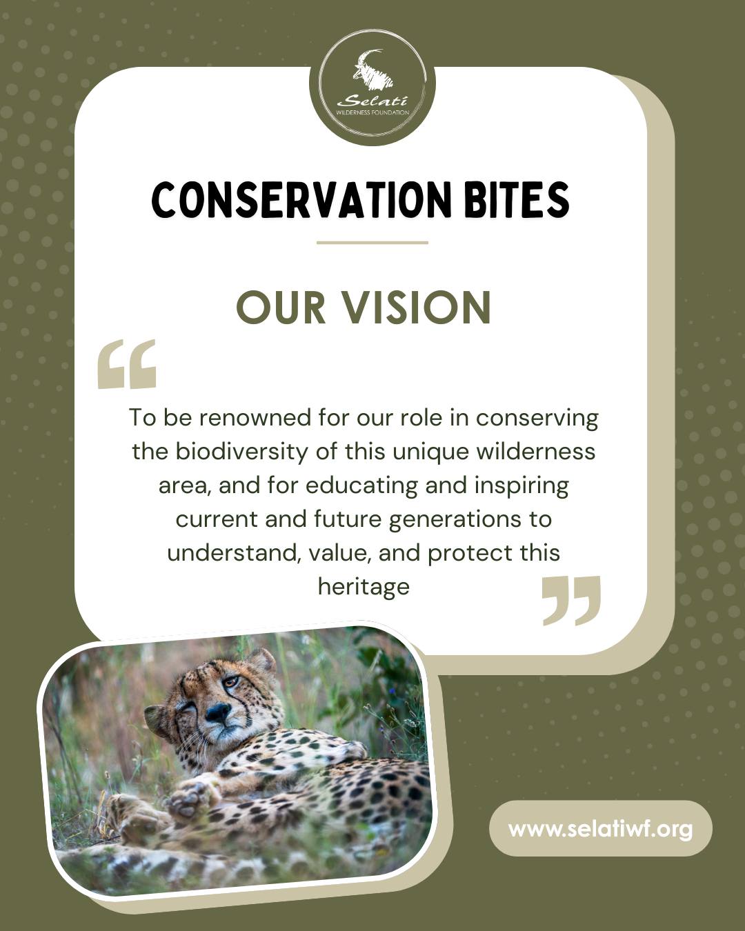 Selati Wilderness... - Selati Wilderness Foundation - NPC