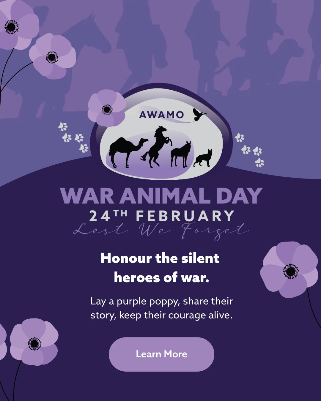 In 2026,... - Australian War Animal Memorial Organisation | Facebook