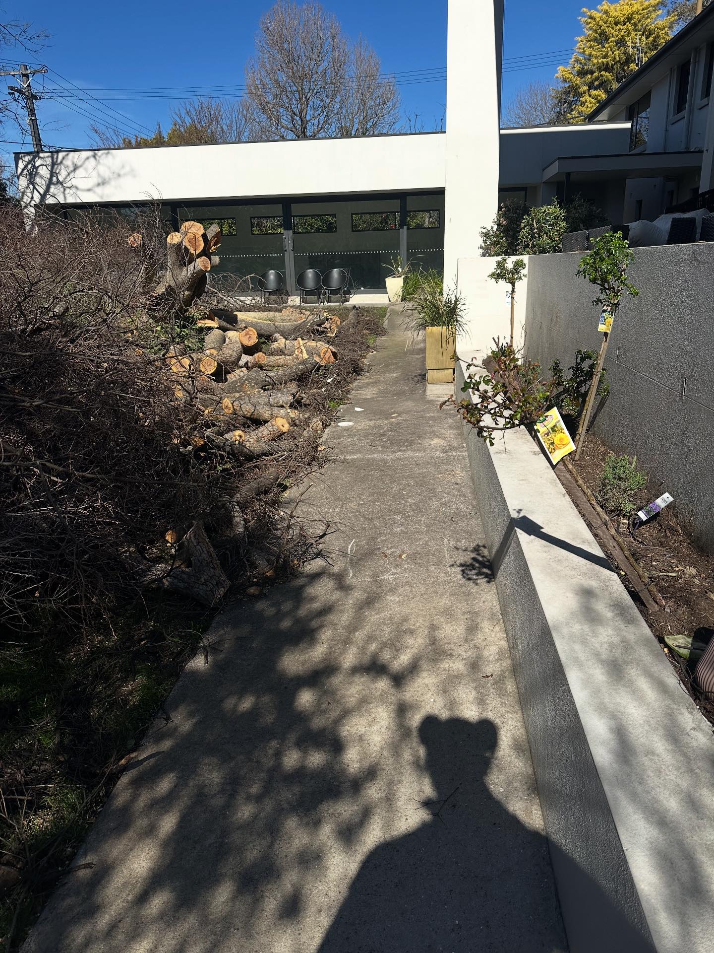 HighPoint Trees | Carlingford NSW