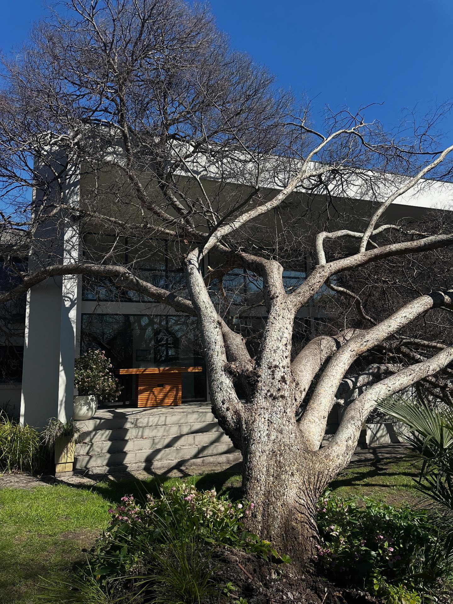 HighPoint Trees | Carlingford NSW