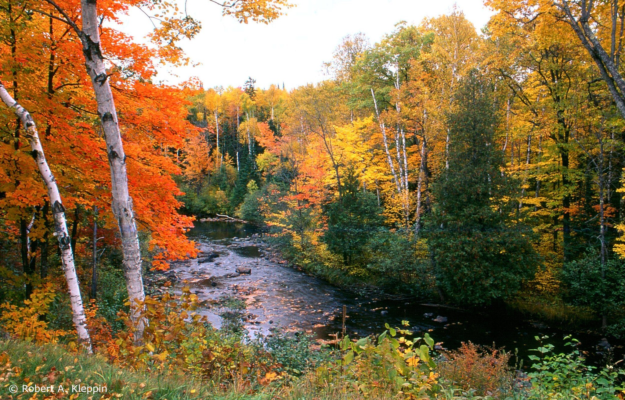 The Nature Conservancy in Wisconsin | Madison WI