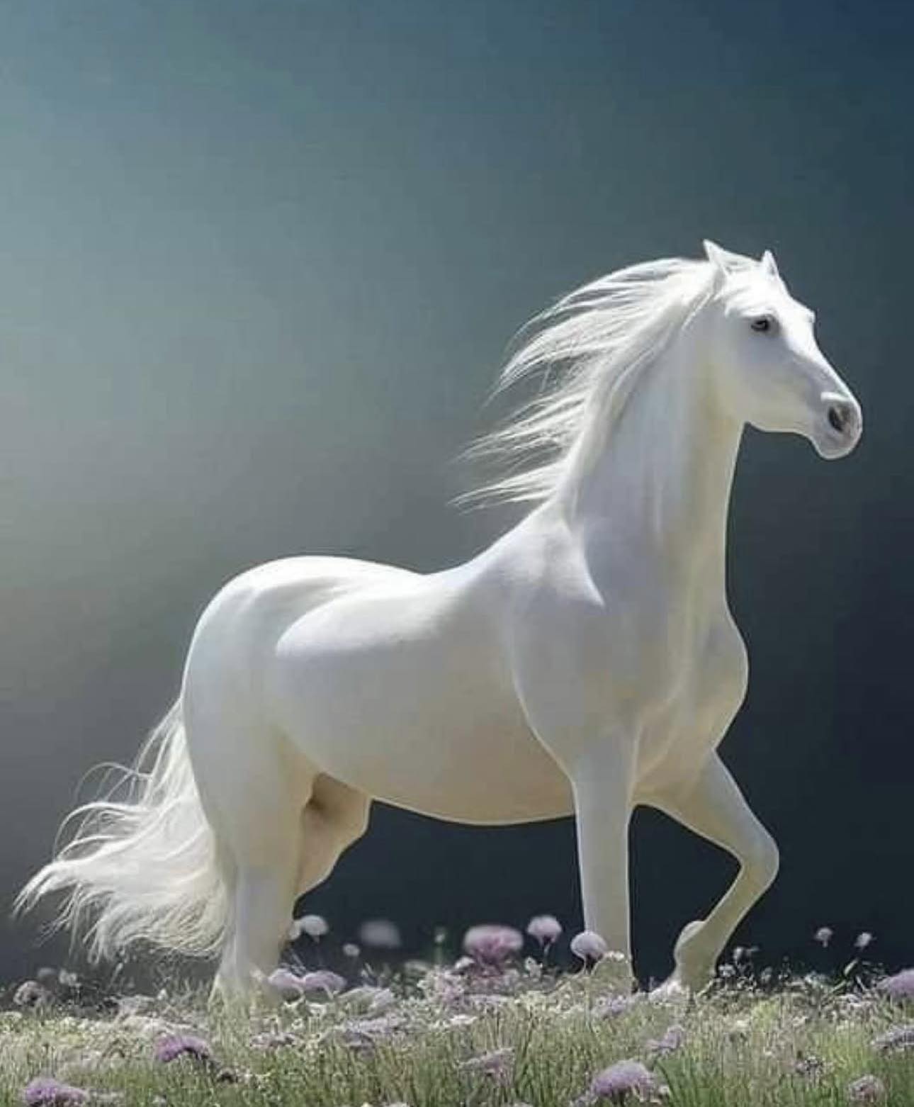 Kathy Troccoli - A white stallion represents— triumph,... | Facebook
