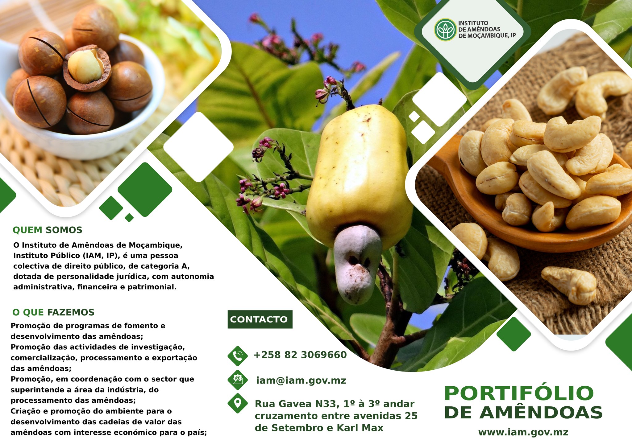 instituto-de-am-ndoas-de-mo-ambique-ip-maputo