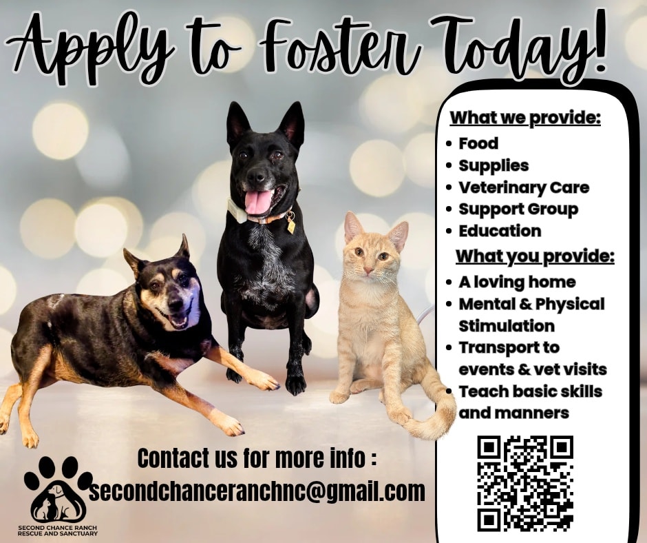 Second Chance Ranch Rescue and Sanctuary