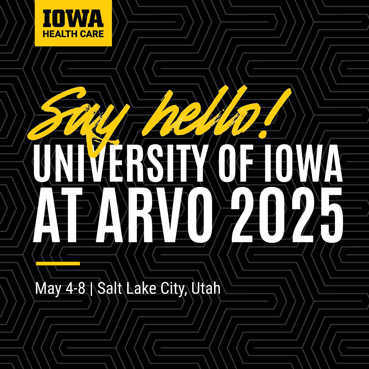 University of Iowa Department of Ophthalmology and Visual Sciences ...
