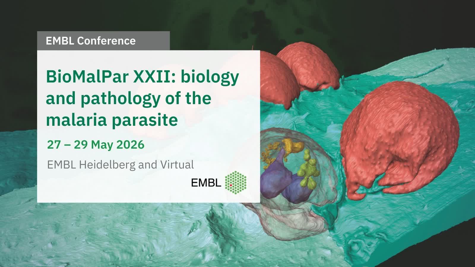 EMBL Events - Do you want to join a community working to... | Facebook