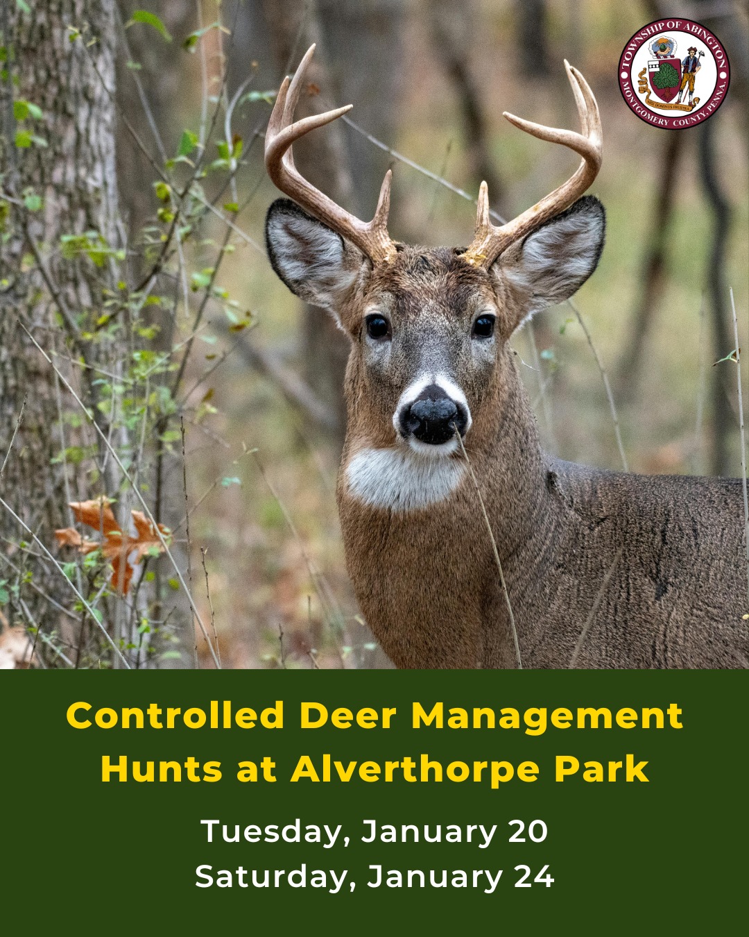 Abington - The Township has approved two (2) controlled archery hunts ...