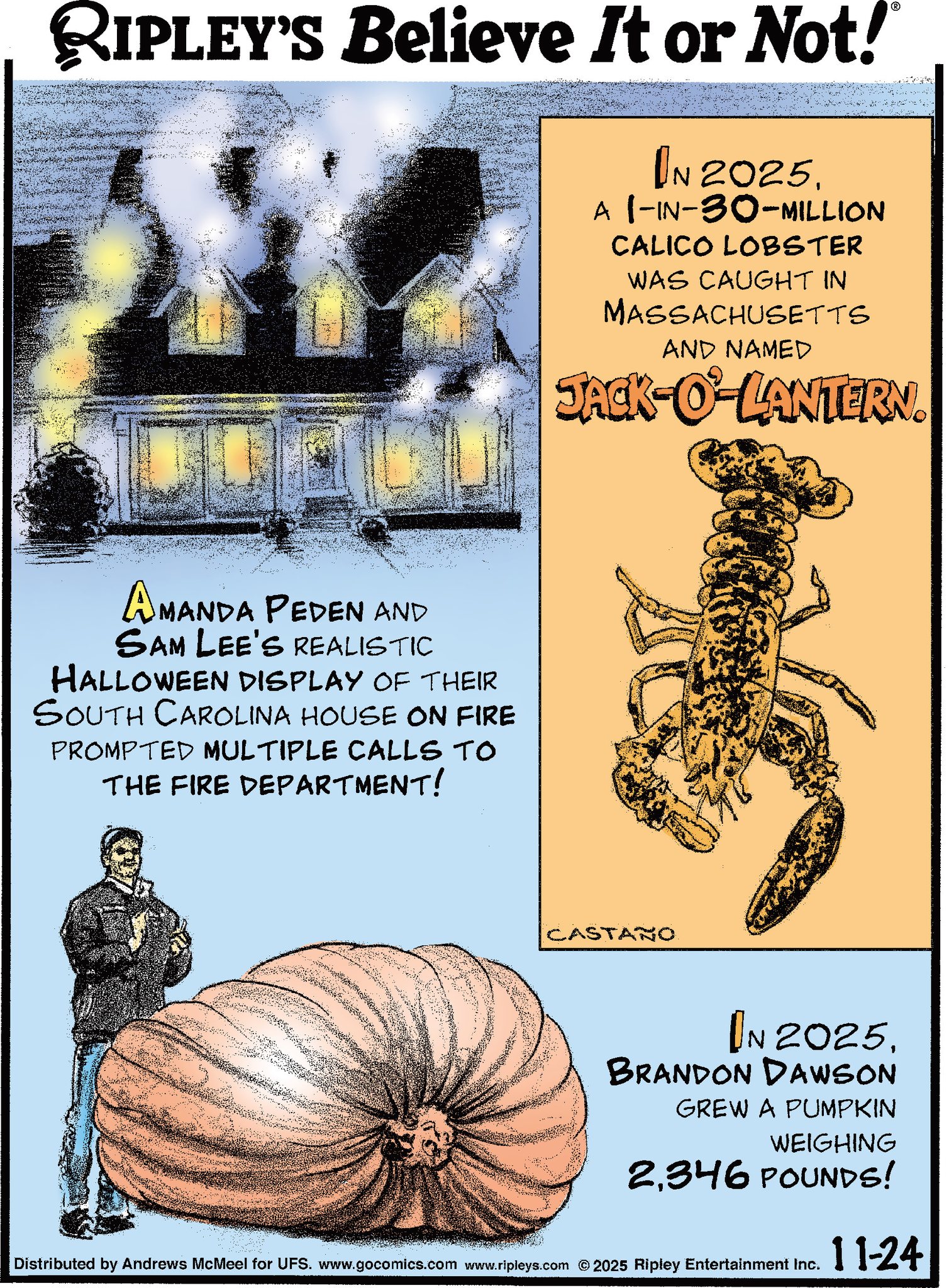 Ripley's - In 2025, Brandon Dawson grew a pumpkin weighing 2,346 pounds ...