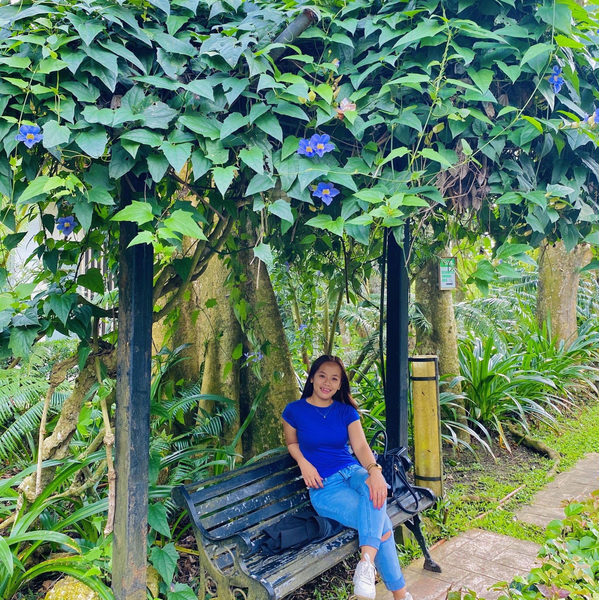 Mae Batas
