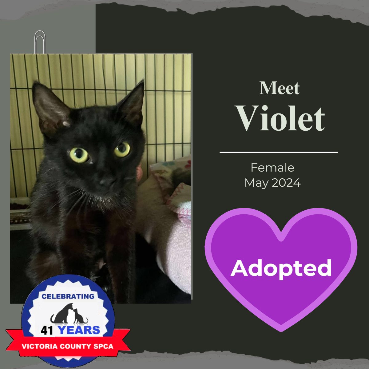 The Victoria County SPCA