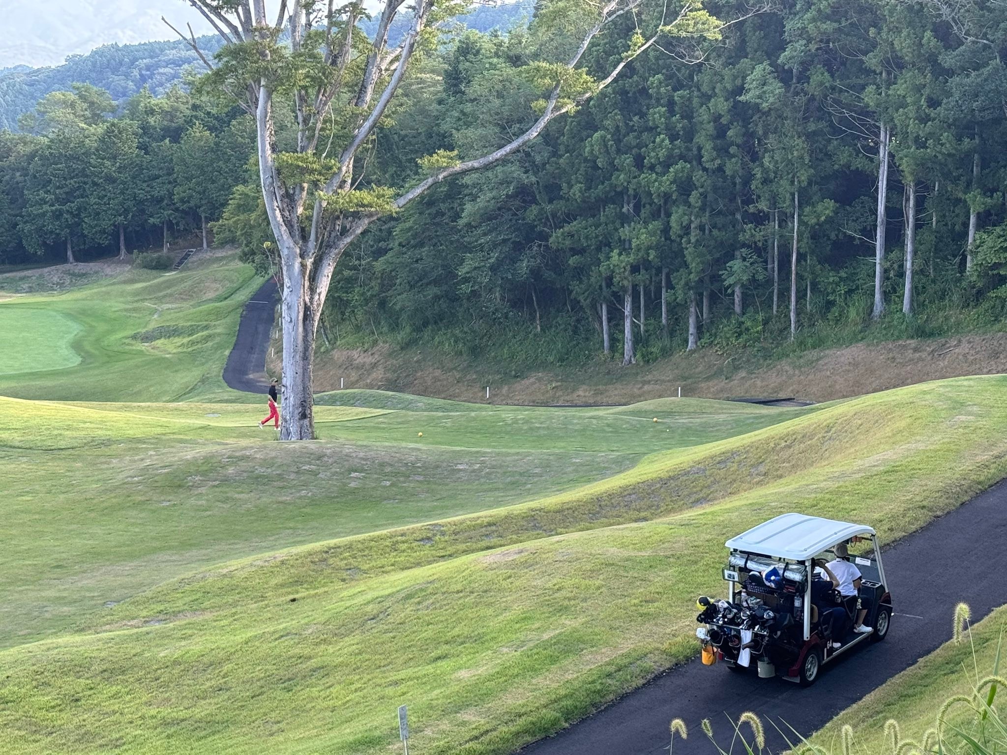 ギャツビイゴルフクラブ - ギャツビイゴルフクラブ added a new photo.