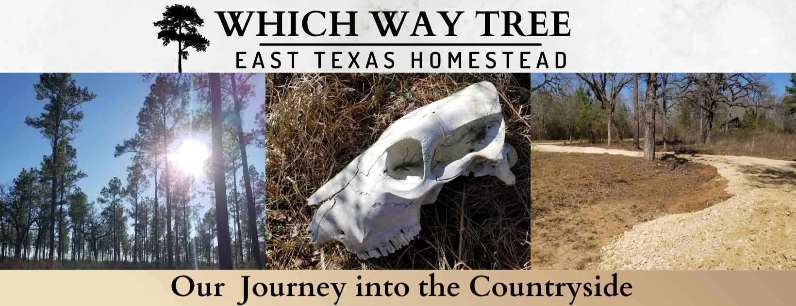 Which Way Tree - East Texas Homestead