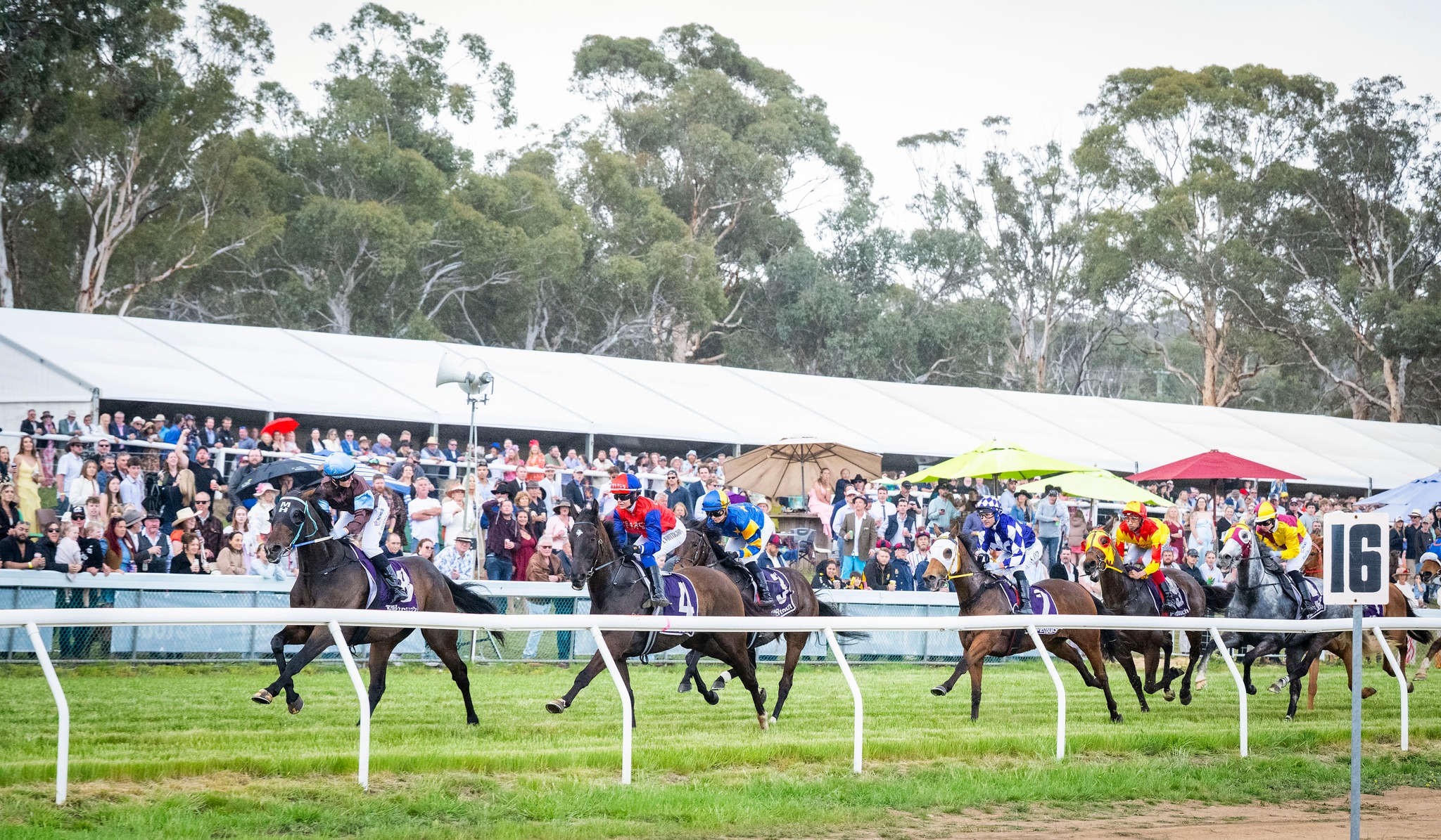 Toodyay Race Club added a new photo. - Toodyay Race Club