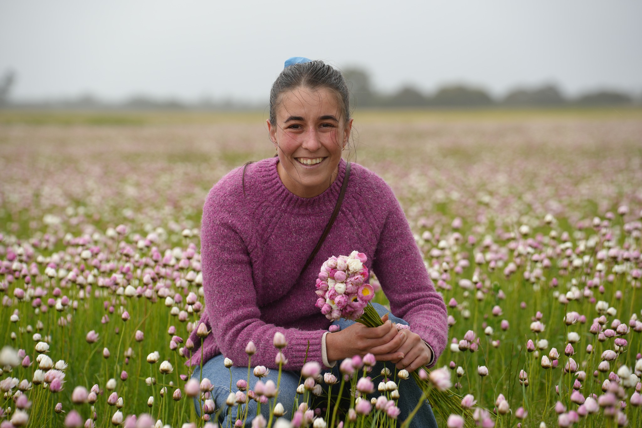 Lucinda's Everlastings | Mobrup WA
