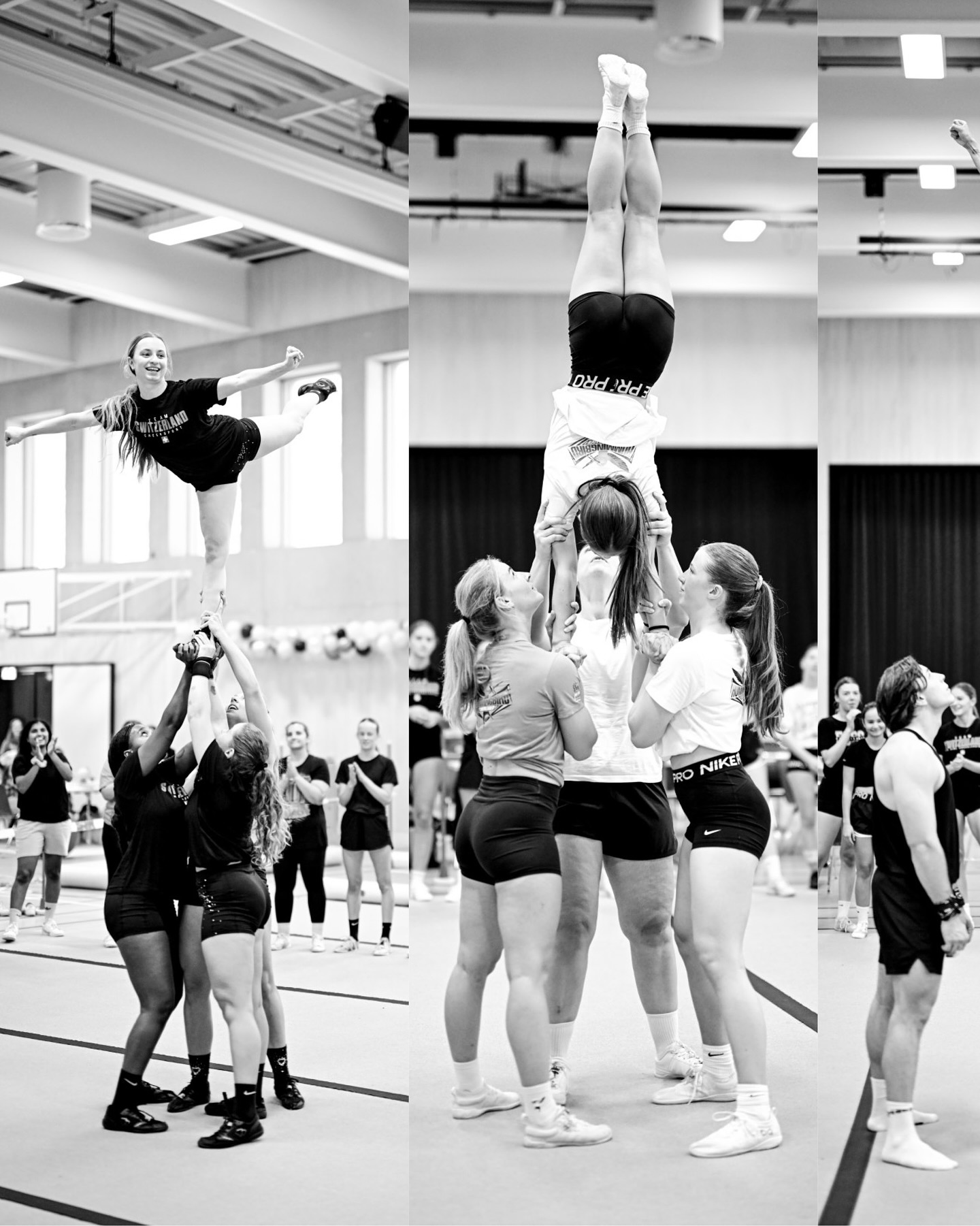 Hummingbird Cheerleader | Sargans