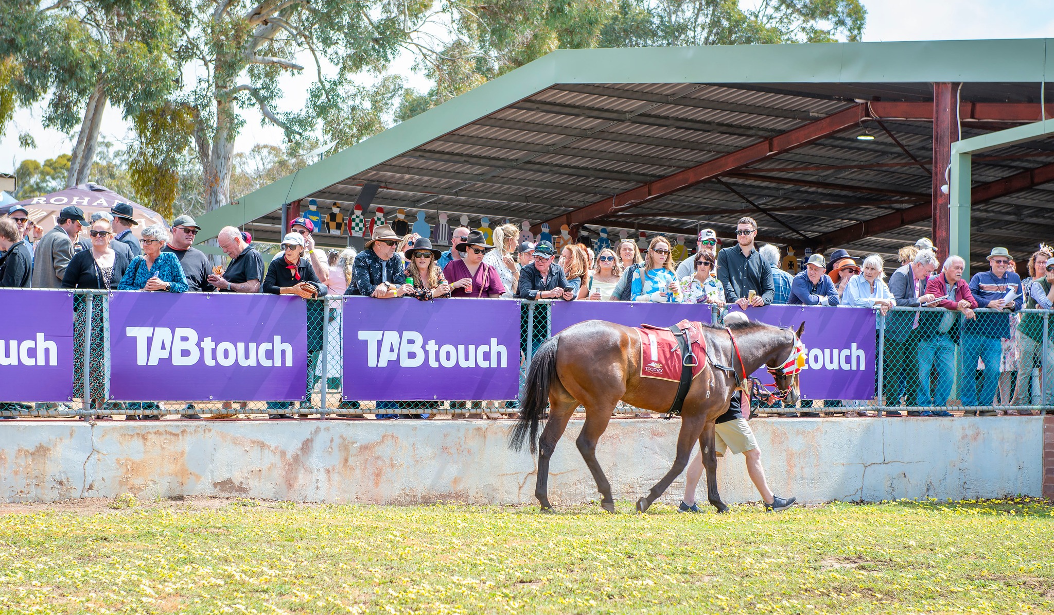 Toodyay Race Club added a new photo. - Toodyay Race Club