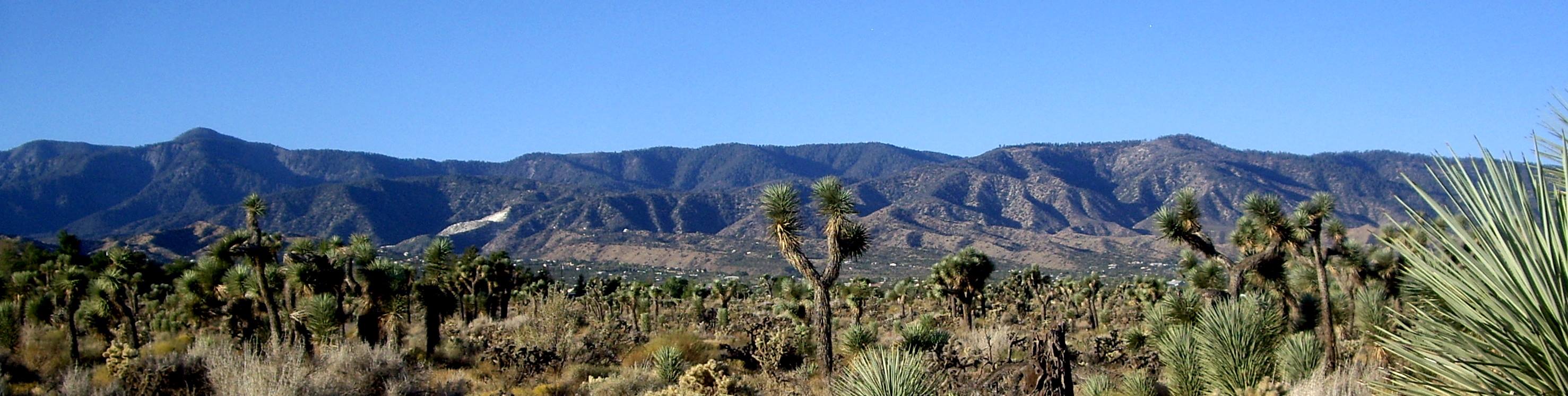 Phelan Pinon Hills Community Services District | Phelan CA