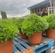 Perrone's Farm Inc. added a new photo. - Perrone's Farm Inc.