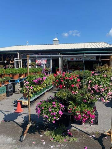 Perrone's Farm Inc. added a new photo. - Perrone's Farm Inc.