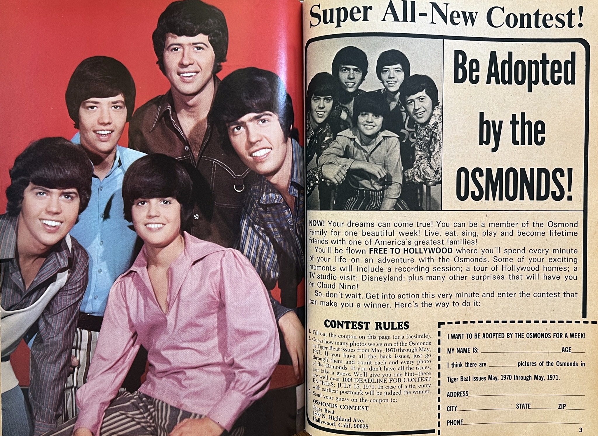 THE OSMONDS　オズモンズ　1971年　ジャパンツアー　パンフ From the Tiger Beat Archives, September 1971 While on a tour of