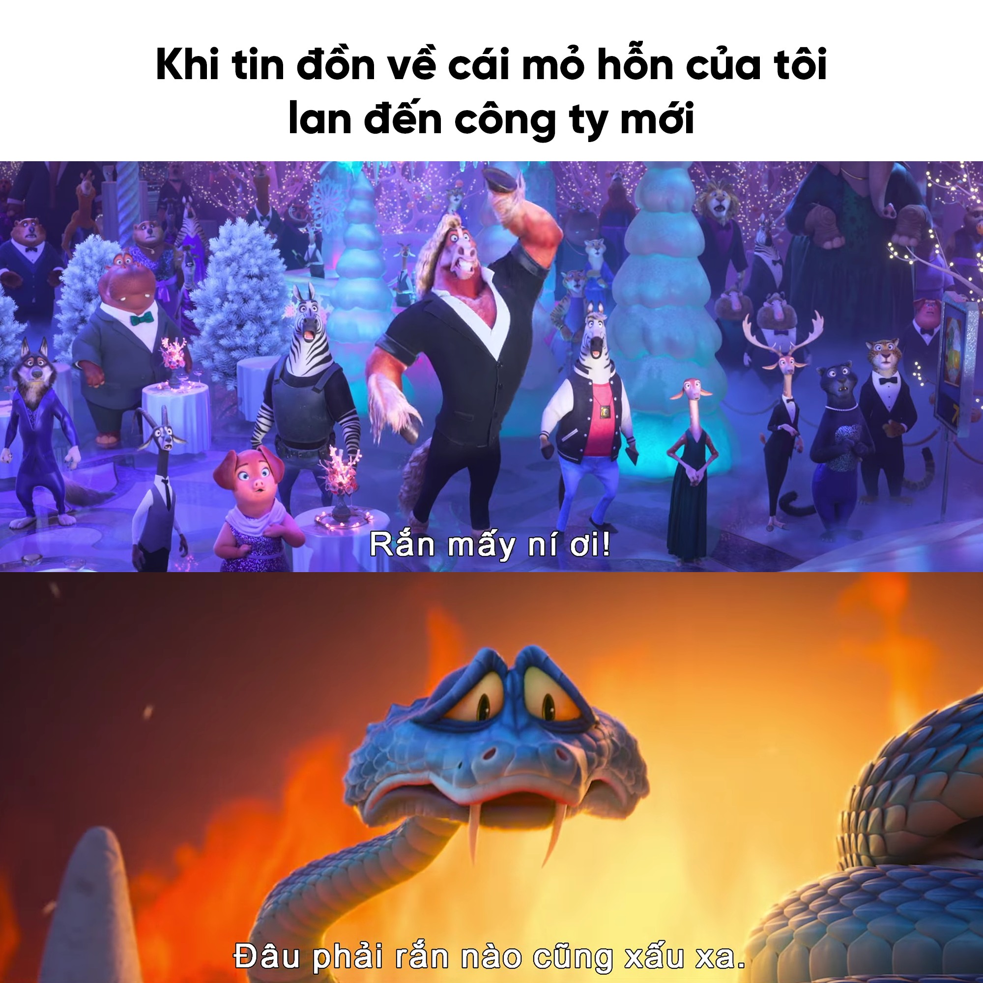 Đài - Đã bảo phận làm rắn khê lắm mà chẳng ai tin :((( 🚨Zootopia 2 sẽ ...