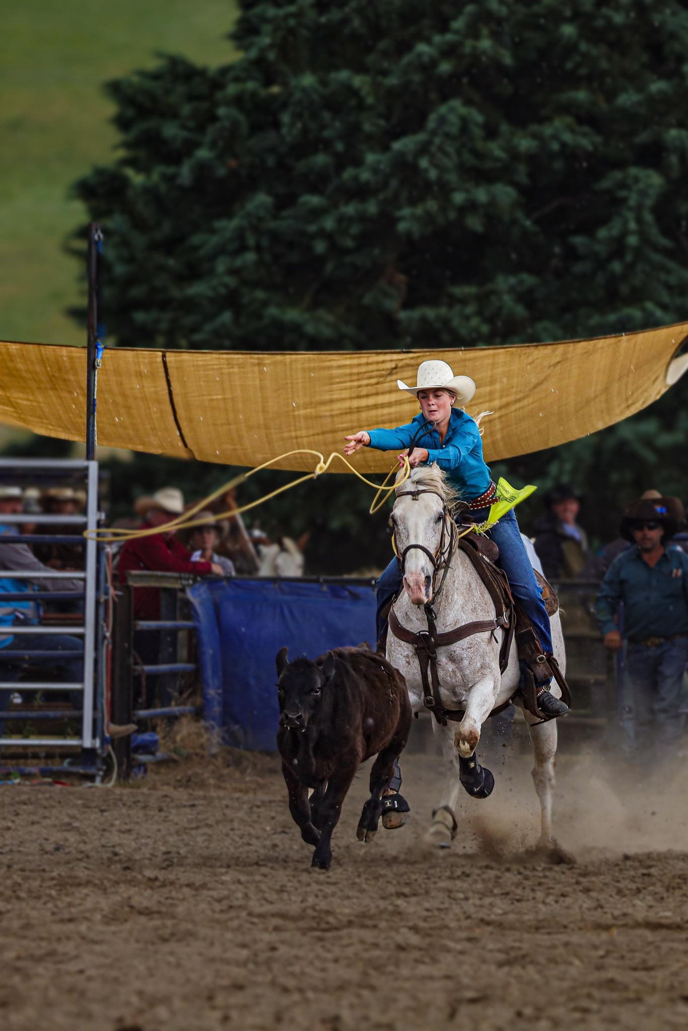 Millers Flat Rodeo NZ added a new... - Millers Flat Rodeo NZ