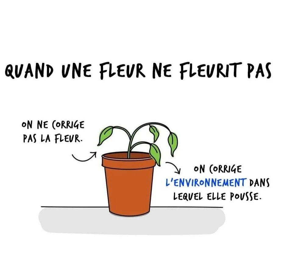 Ecole de la Réussite - ️ Quand une fleur ne fleurit pas , que faut-il ...