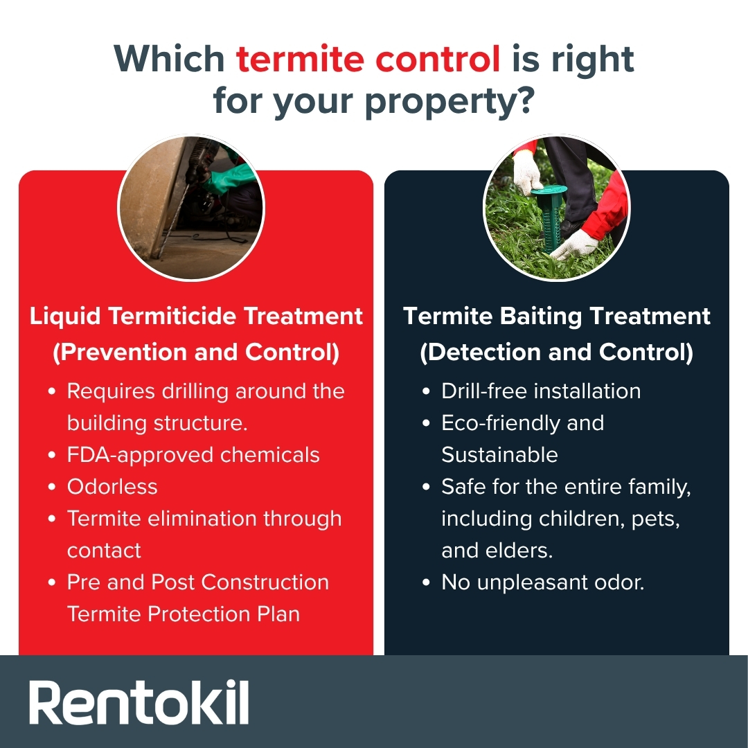 Rentokil Pest Control Philippines - Did you know that even ...