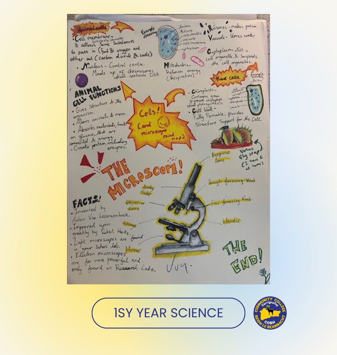Carrignafoy - 1st Year Science 🔬 This fantastic cell and microscope ...