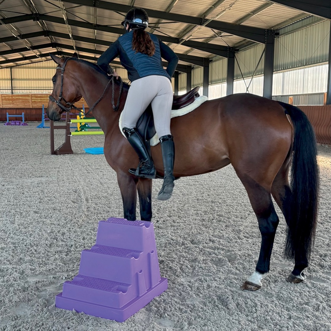 Agri Zoo San Marino - Western Horse-Boots FRONT+REAR Set by ...