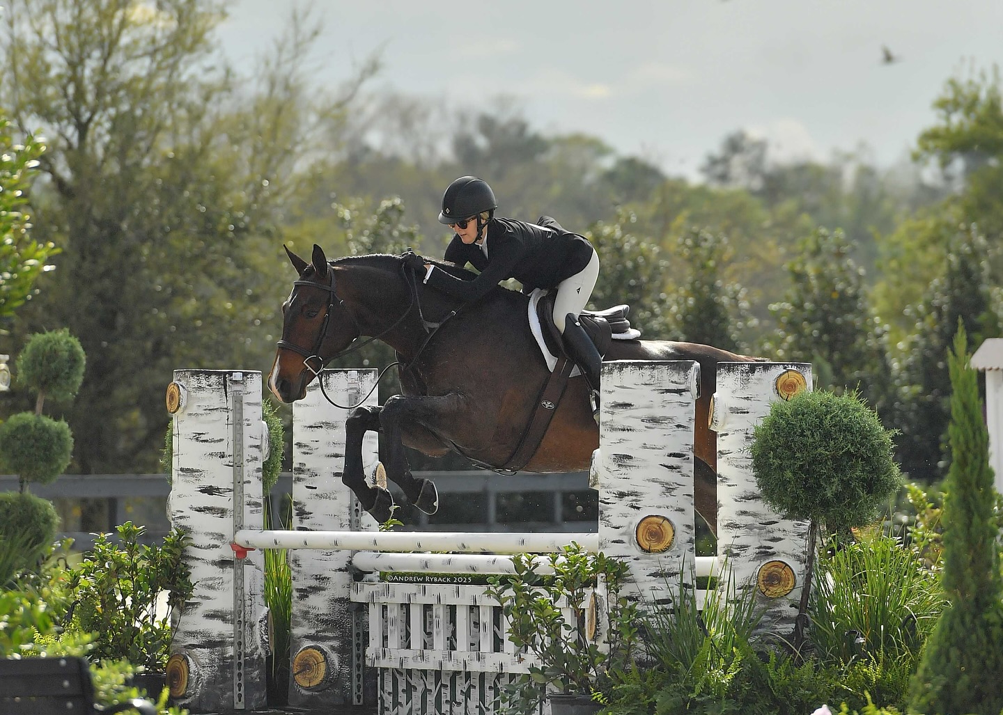 Falcon Ridge Stables | Woodstock GA
