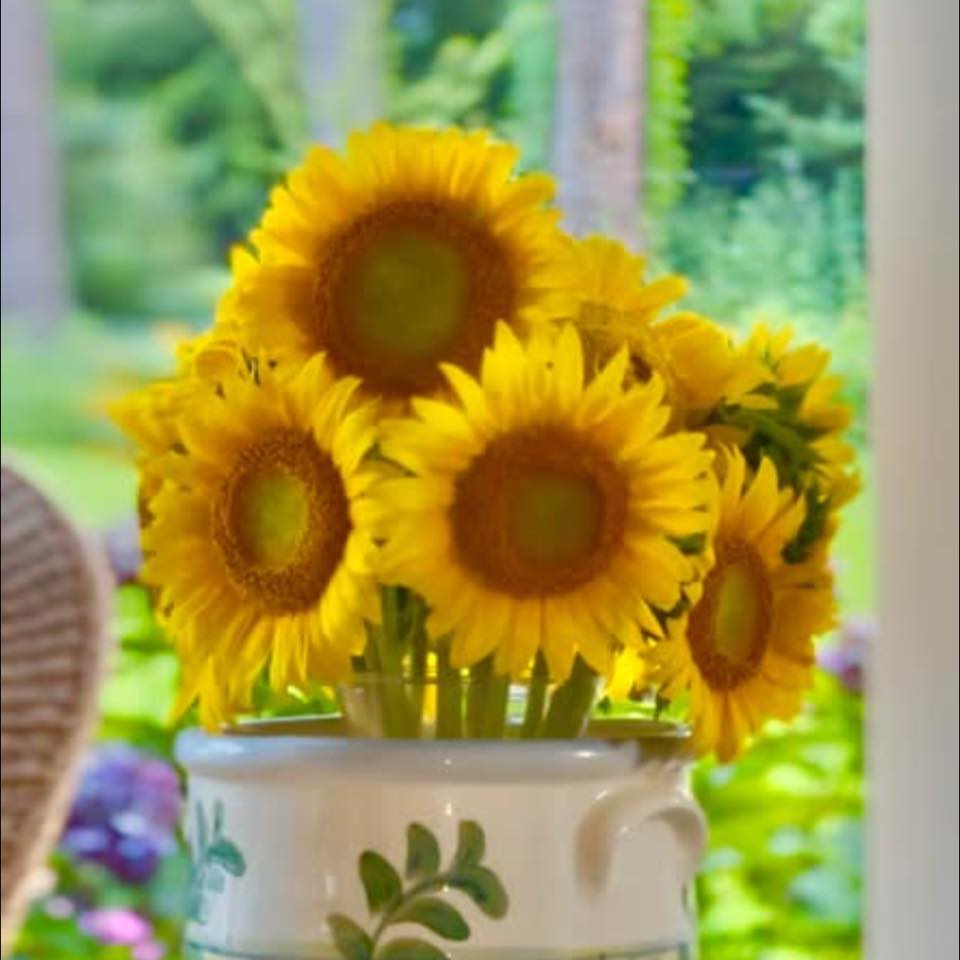 Sol Flowers of Anderson, SC... - Sol Flowers of Anderson, SC