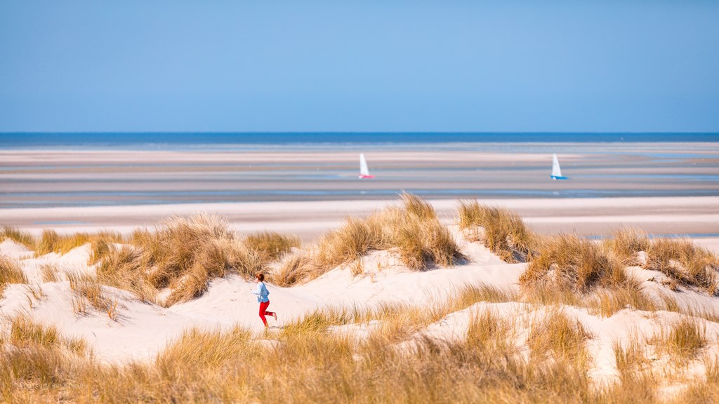 La For t Stella-Plage - Stella-plage