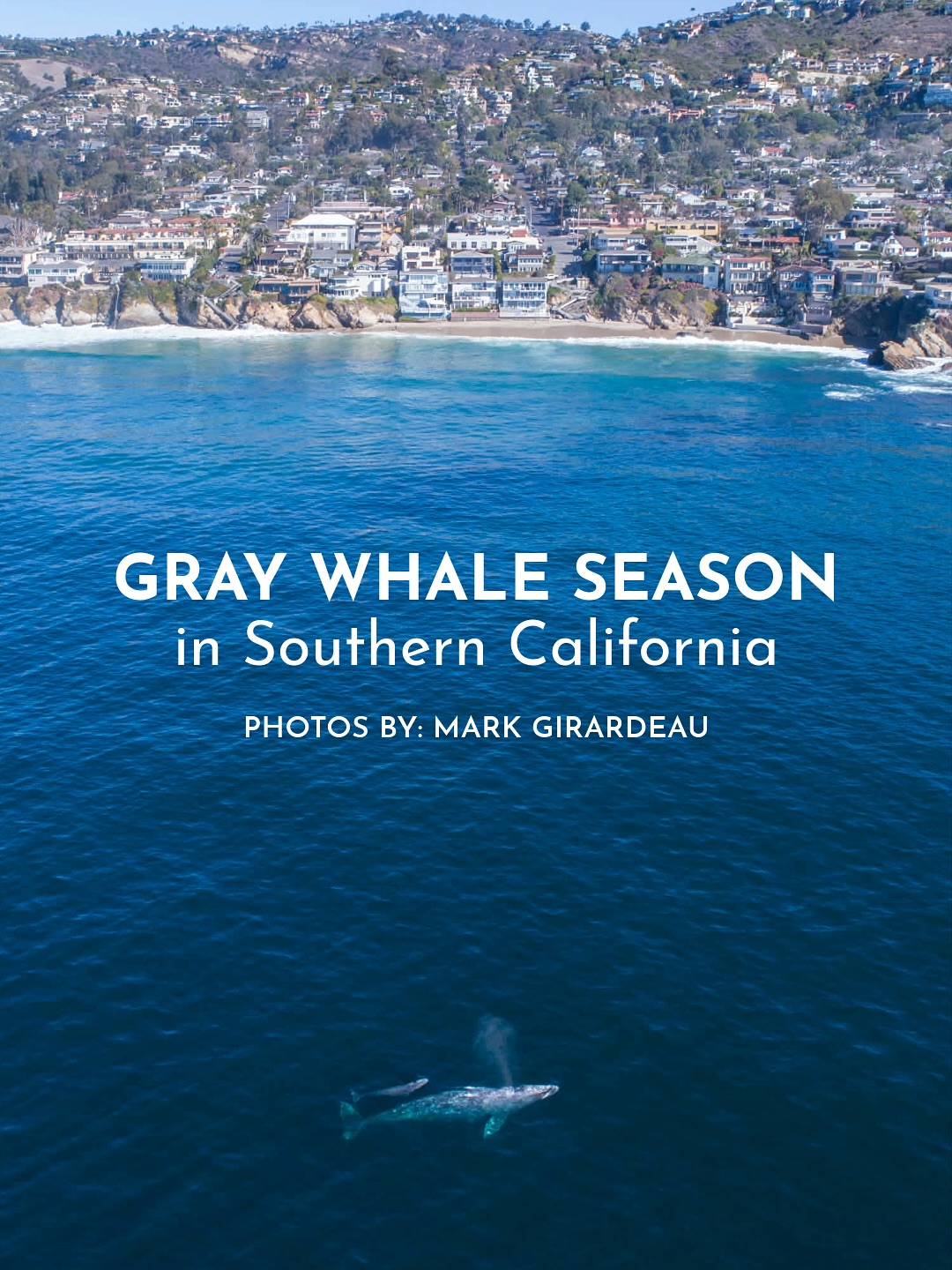 Pacific Marine Mammal... - Pacific Marine Mammal Center