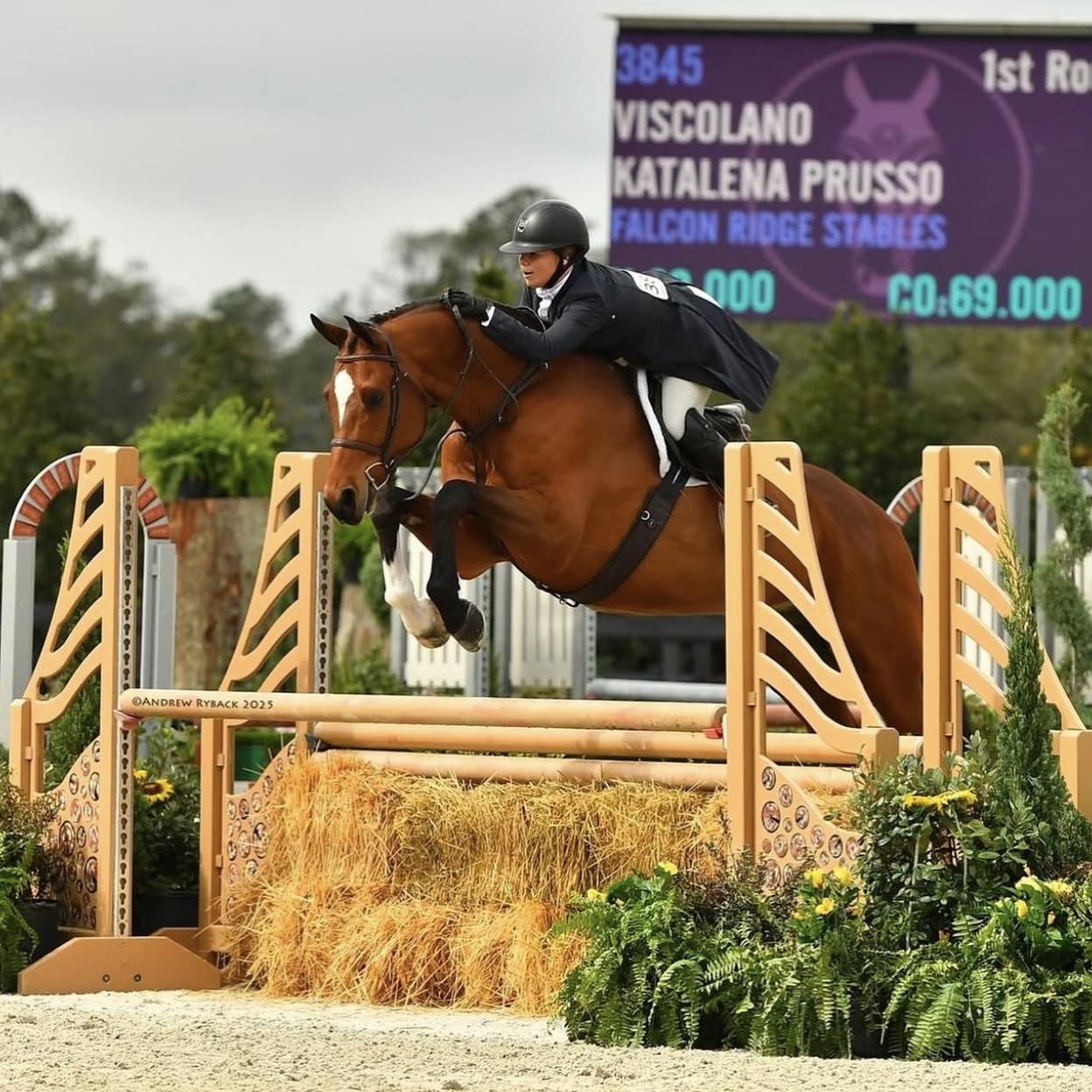 Falcon Ridge Stables added a new photo. - Falcon Ridge Stables