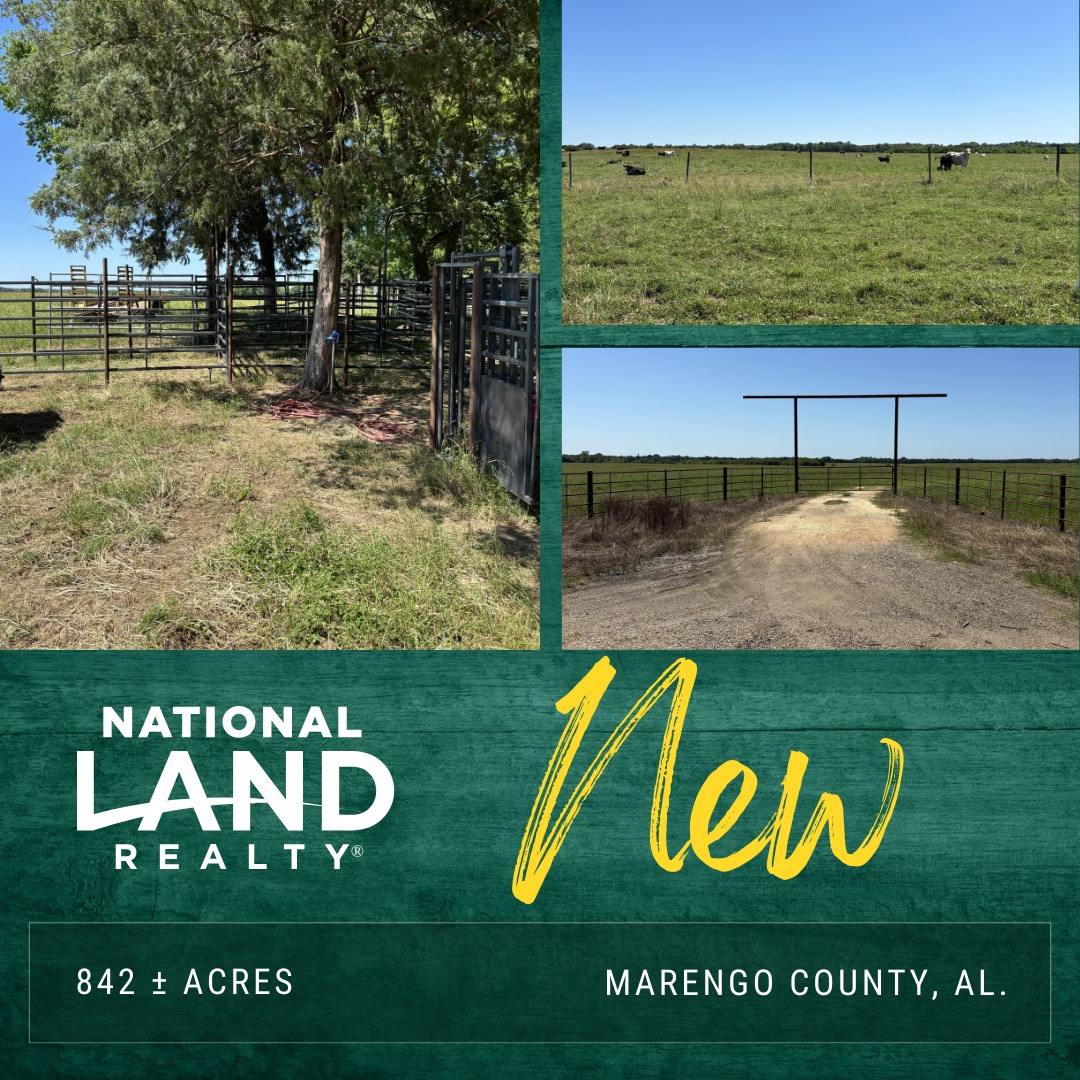 National - 🌾 NEW LISTING | Marengo County, AL 🐄 Ready to expand your ...