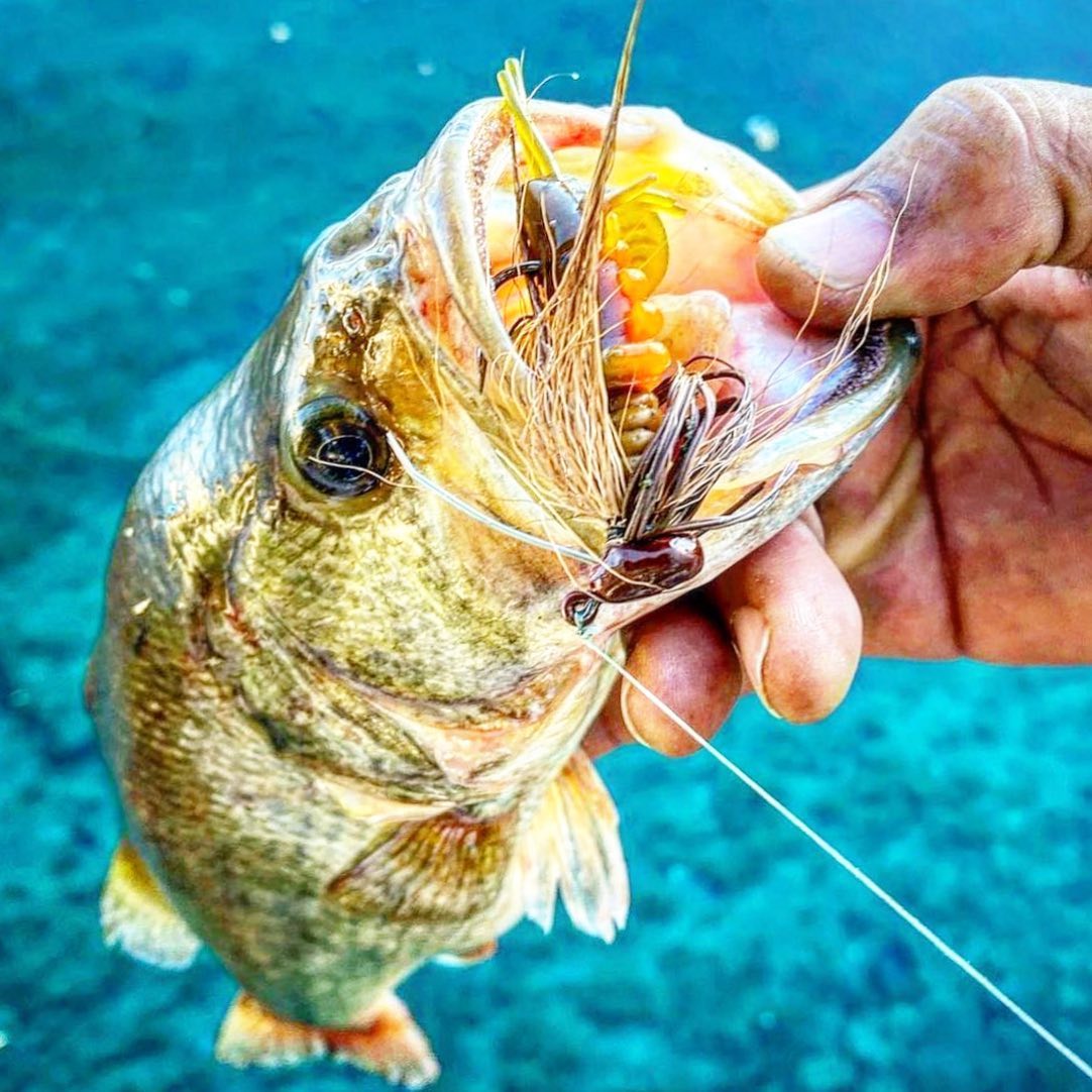 Drag On, Fish On industries. - 😃 I’m always checking out the build on ...