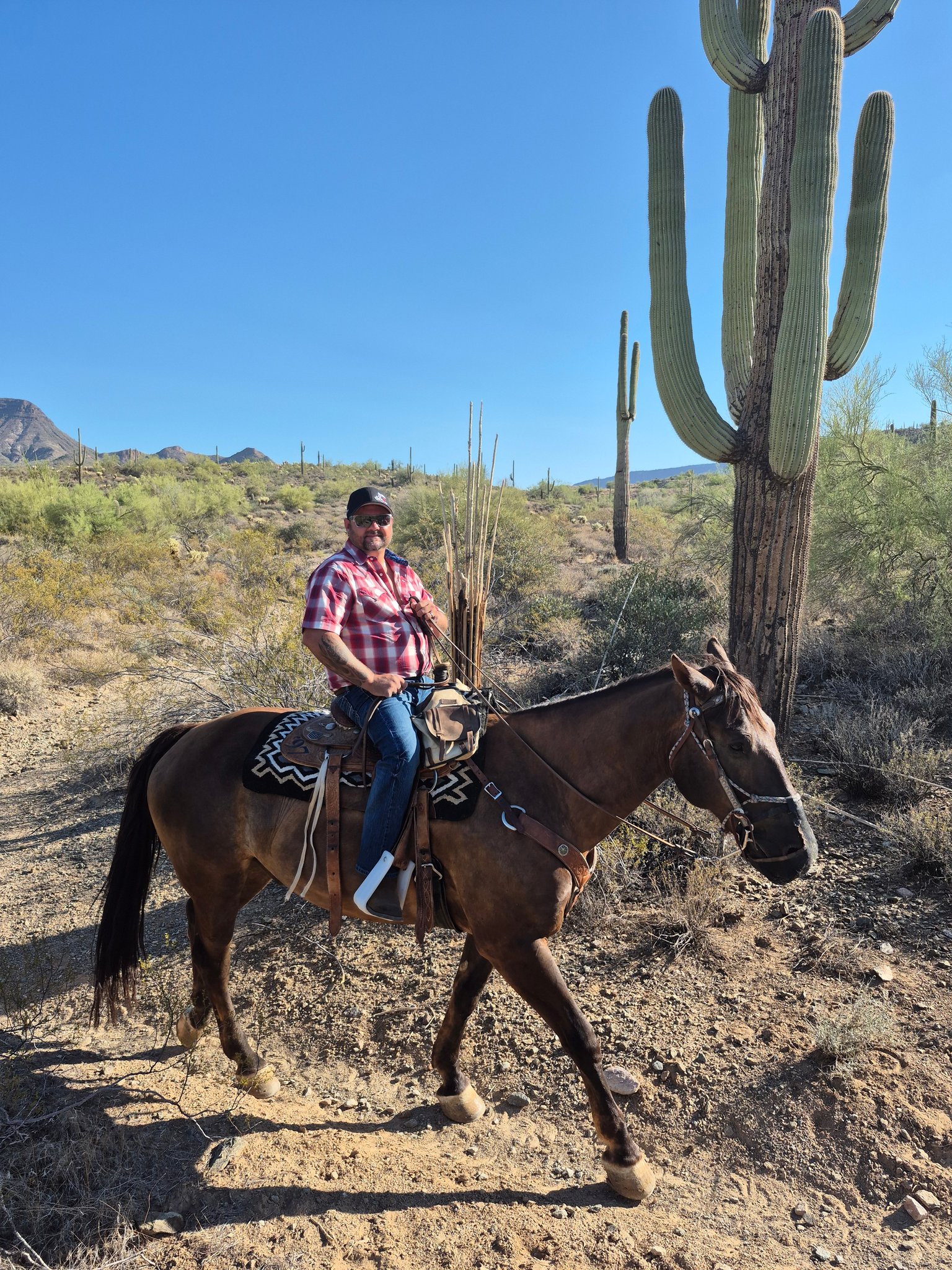 It was great riding with... - MTM Ranch Horseback Adventures | Facebook