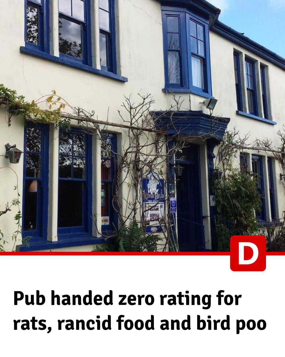 Devon Live - The boozer in Cornwall was handed a zero food... | Facebook